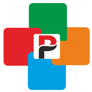 Pal iTech – Website Development, Software & SEO Services – Pal iTech